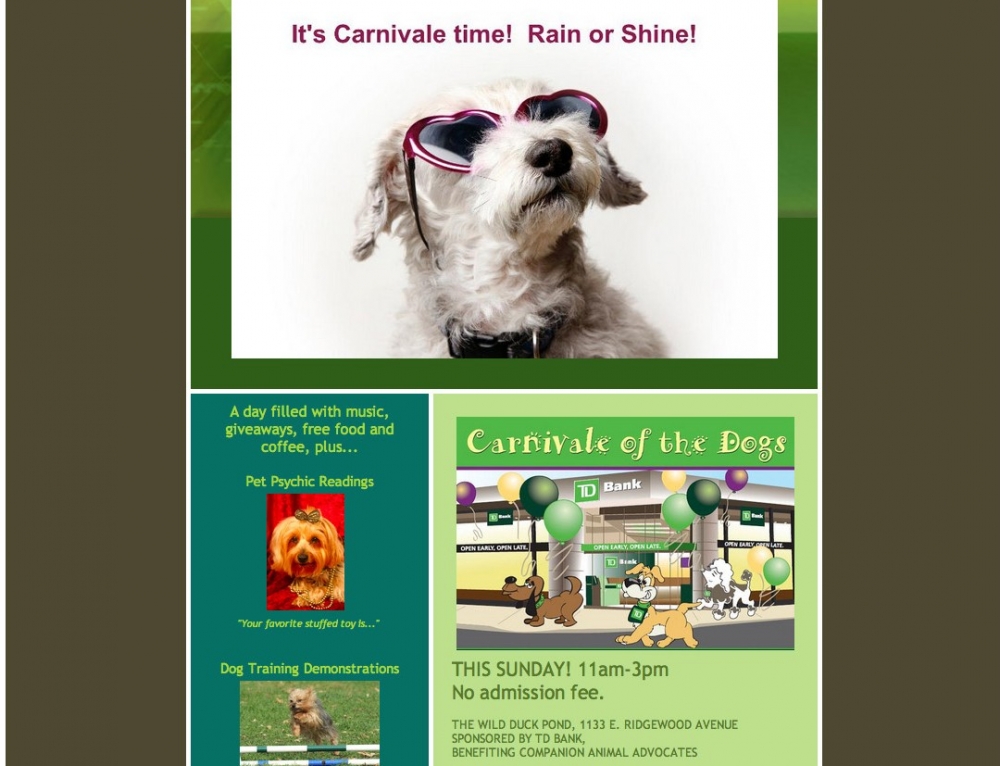 wellness newsletter templates