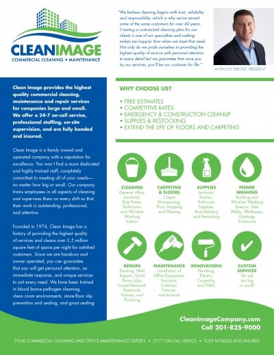 Cleaning Company Sales Sheet Rapunzel Creative Cleaning Company Services Flyer Graphic Design