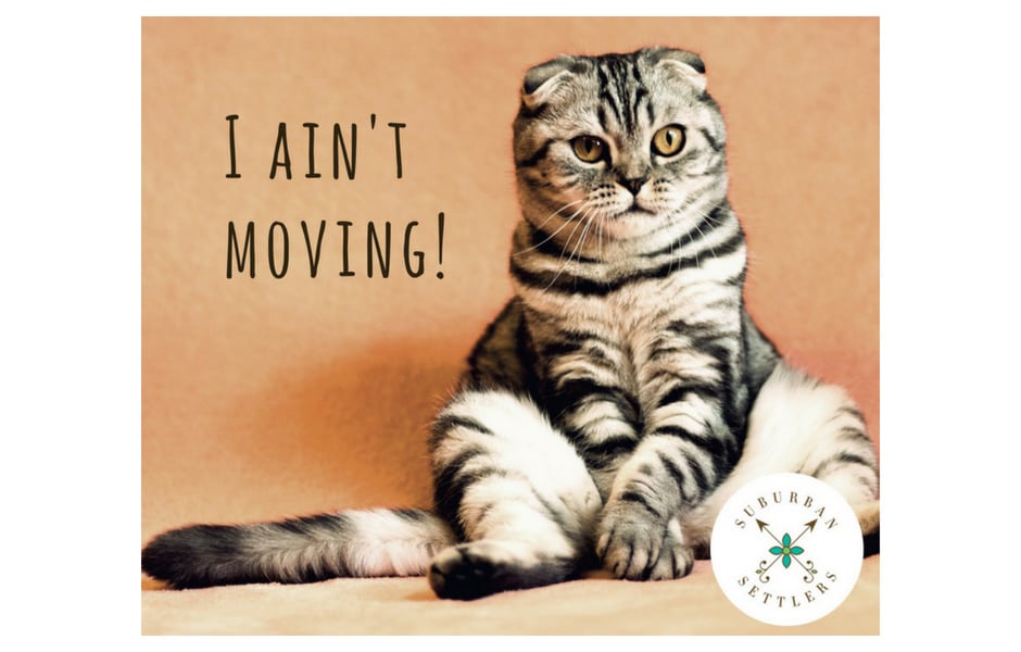 Relocation Services Social Media Campaign Socal Media Services Moving and Storage