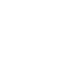 platform-icon-4